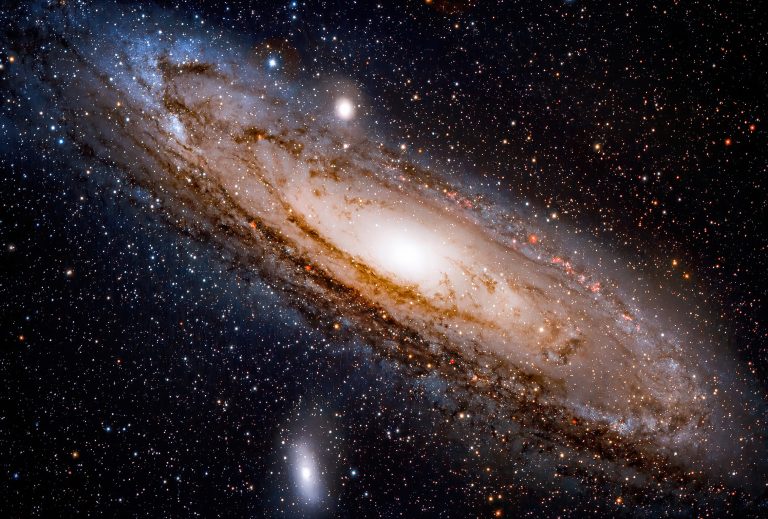 Nineteen Wolf-Rayet Stars Discovered in the Andromeda Galaxy