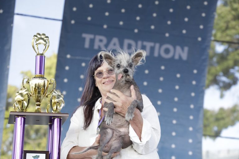 Scooter: The World’s Ugliest Dog 2023 Winner Captivates Hearts with Unique Charm