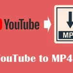https://www.google.com/url?sa=i&url=https%3A%2F%2Ftechbullion.com%2Fyoutube-to-mp4-converter-everything-you-need-to-know%2F&psig=AOvVaw2CGRpSgsgmaSE2zIOm2ebG&ust=1687795133661000&source=images&cd=vfe&ved=0CBIQjhxqFwoTCPigj_3k3v8CFQAAAAAdAAAAABAE