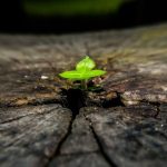 A Planet Growing Older