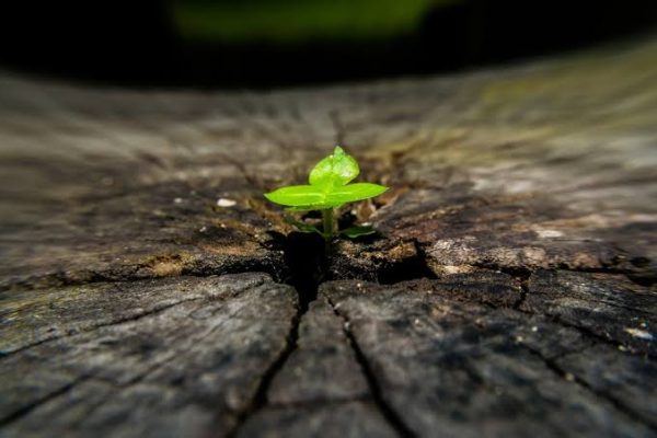 A Planet Growing Older