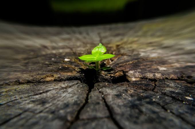 A Planet Growing Older